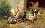 unknow artist Cocks 126 oil on canvas